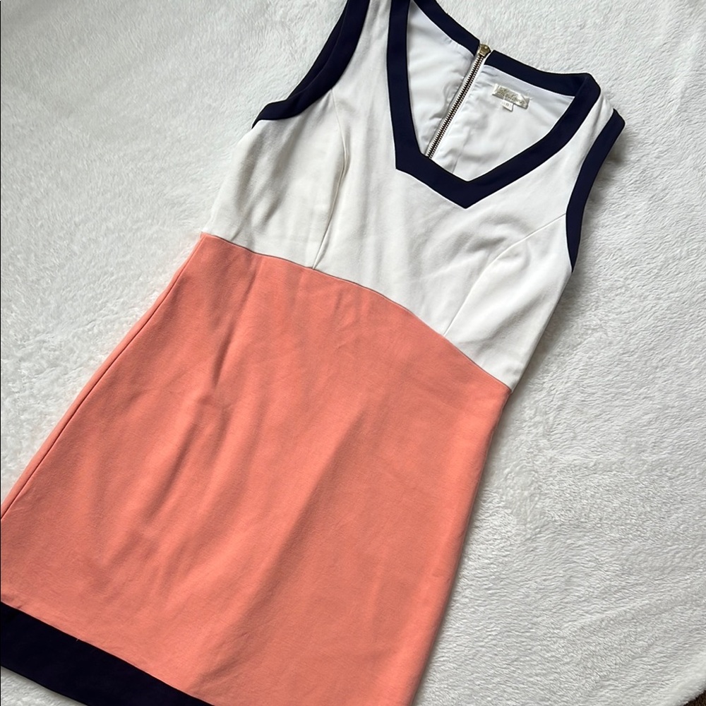 Shoshanna Colorblock Sleeveless Dress